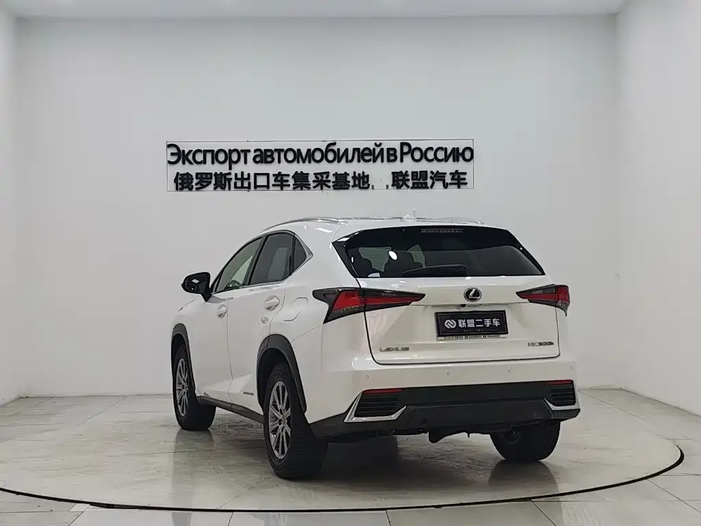 Lexus NX 2021 из CN, фото 9