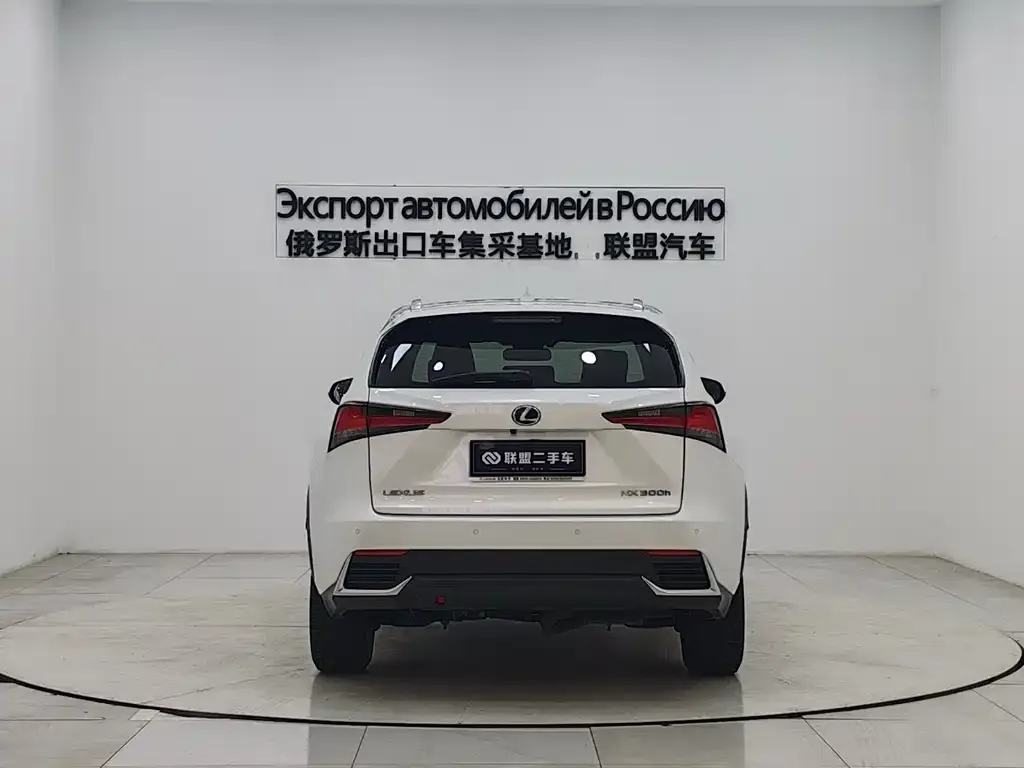 Lexus NX 2021 из CN, фото 2
