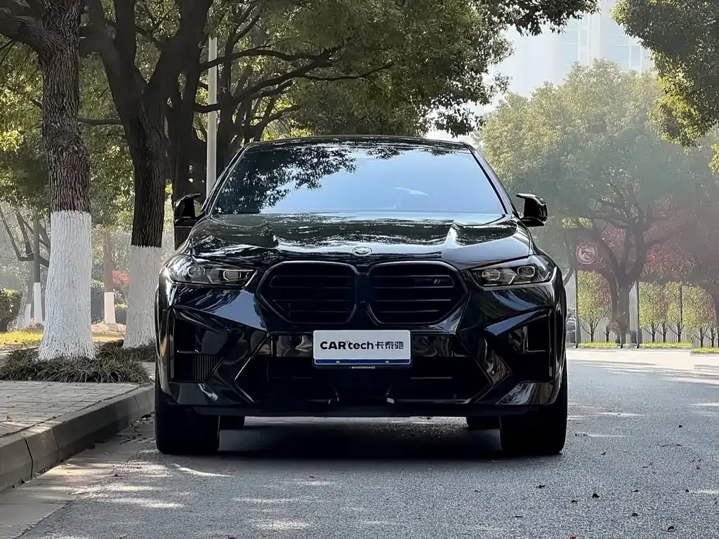 BMW X6 M 2023 из CN, фото 7