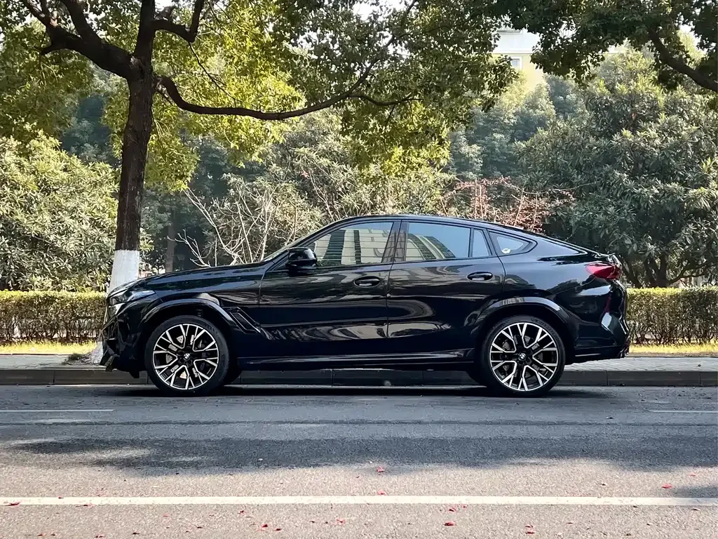 BMW X6 M 2023 из CN, фото 6