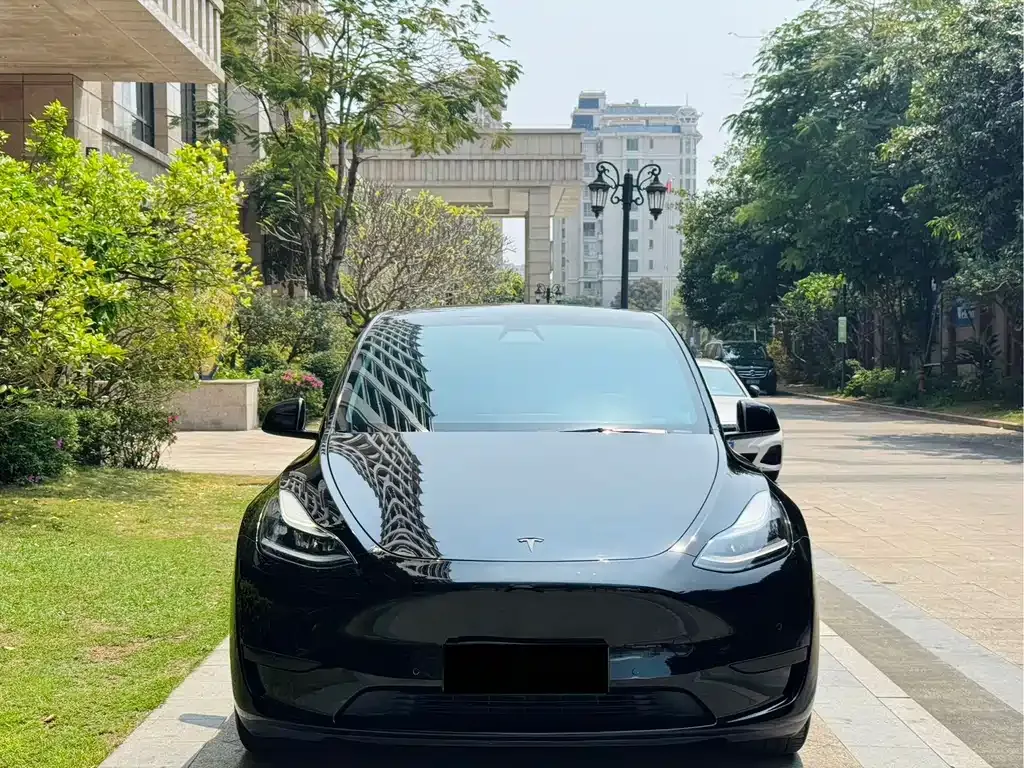 Tesla Model Y — фото 6