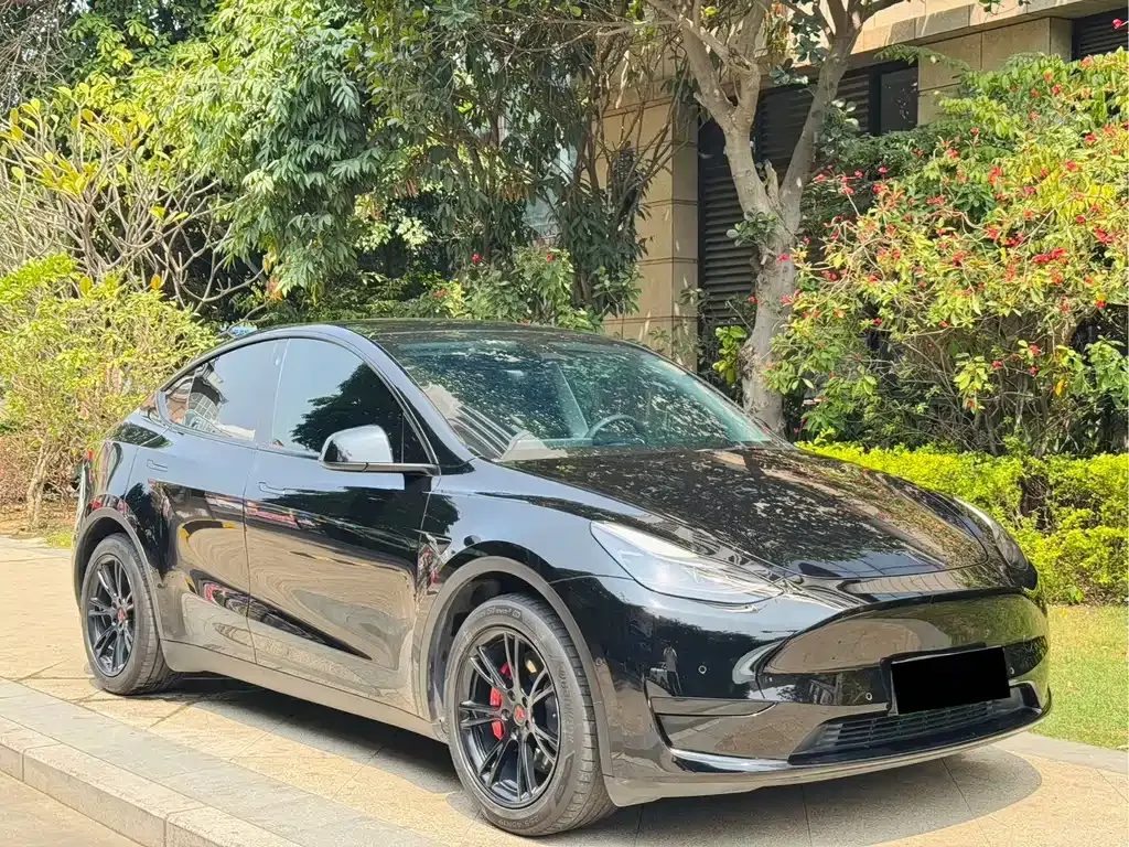 Tesla Model Y — фото 5