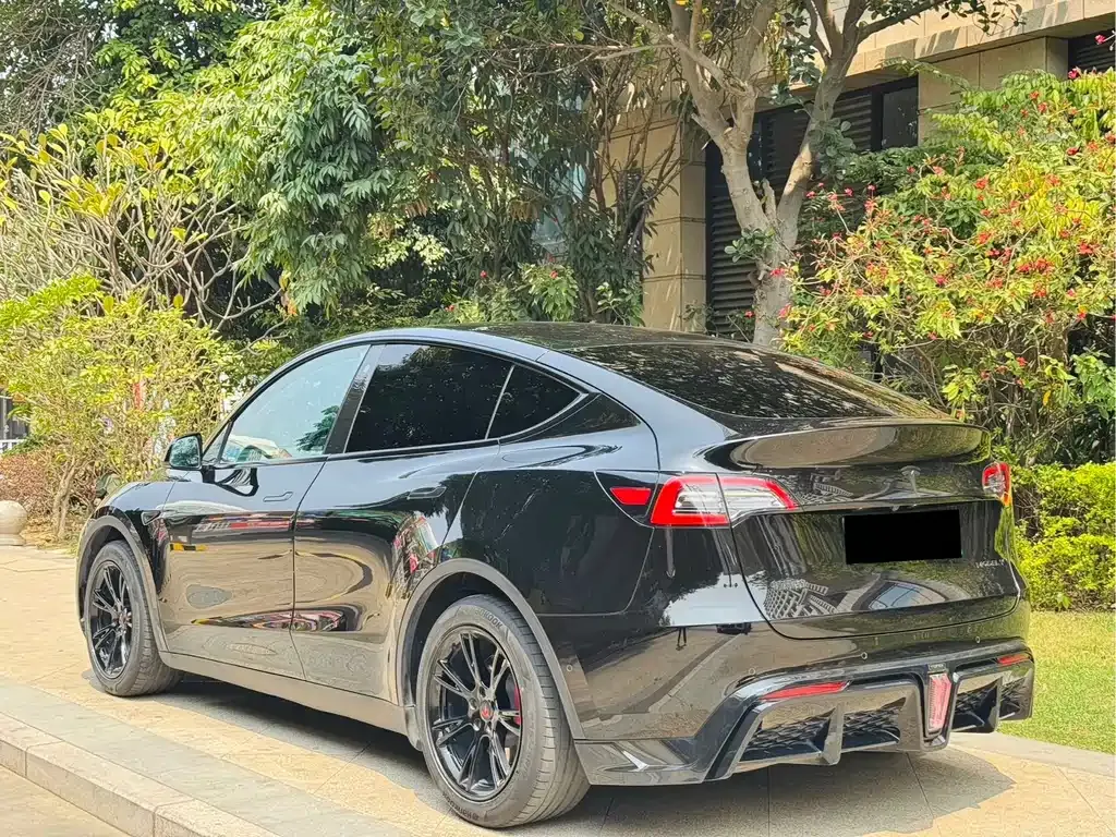 Tesla Model Y — фото 9