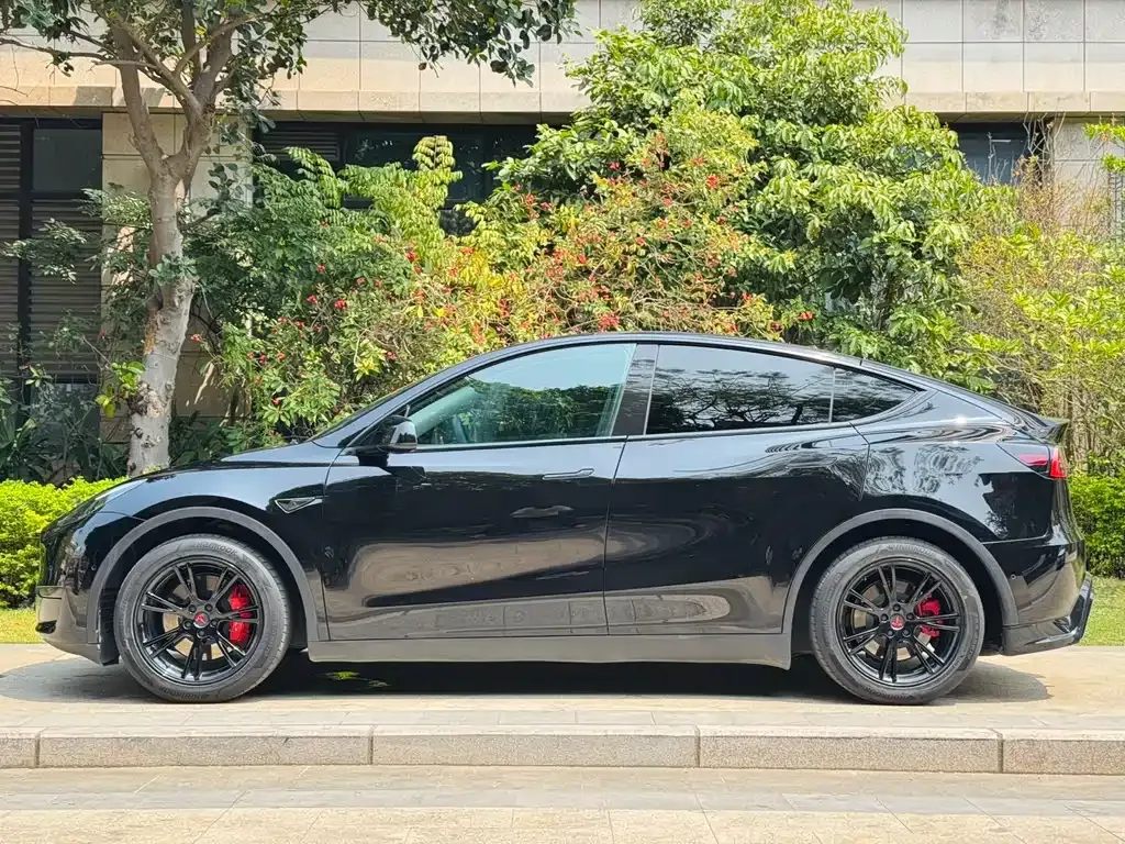 Tesla Model Y — фото 8
