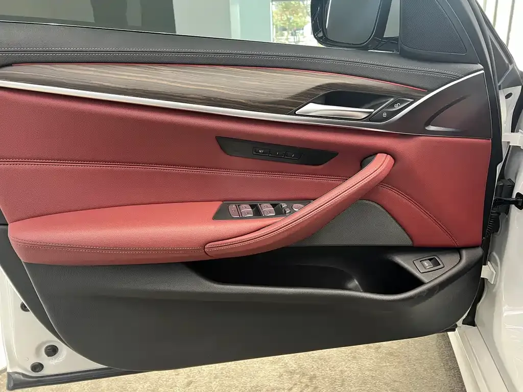 BMW 5 Series 2022 из CN, фото 7