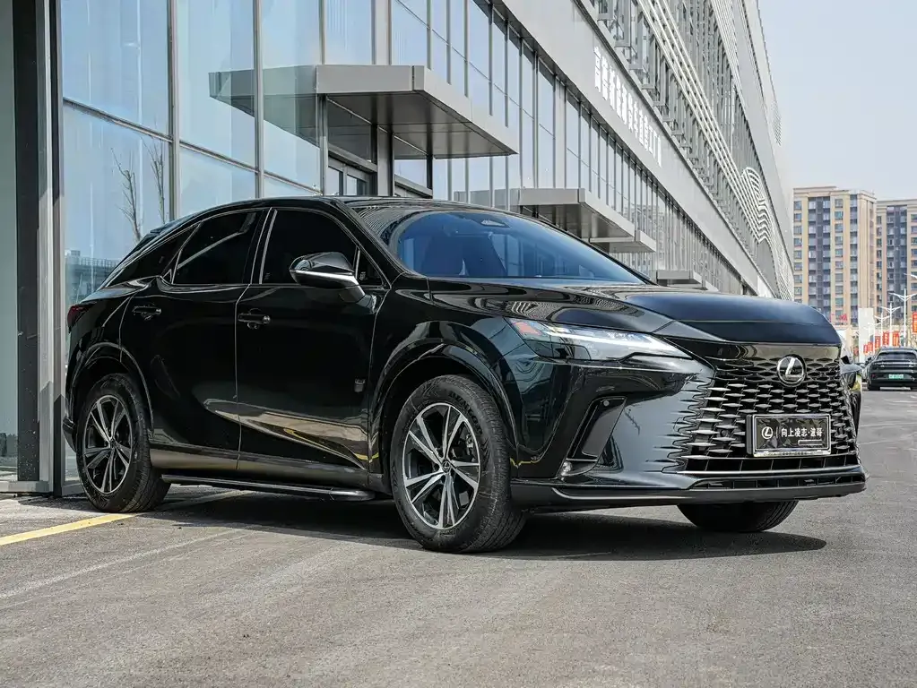 Lexus RX — фото 9