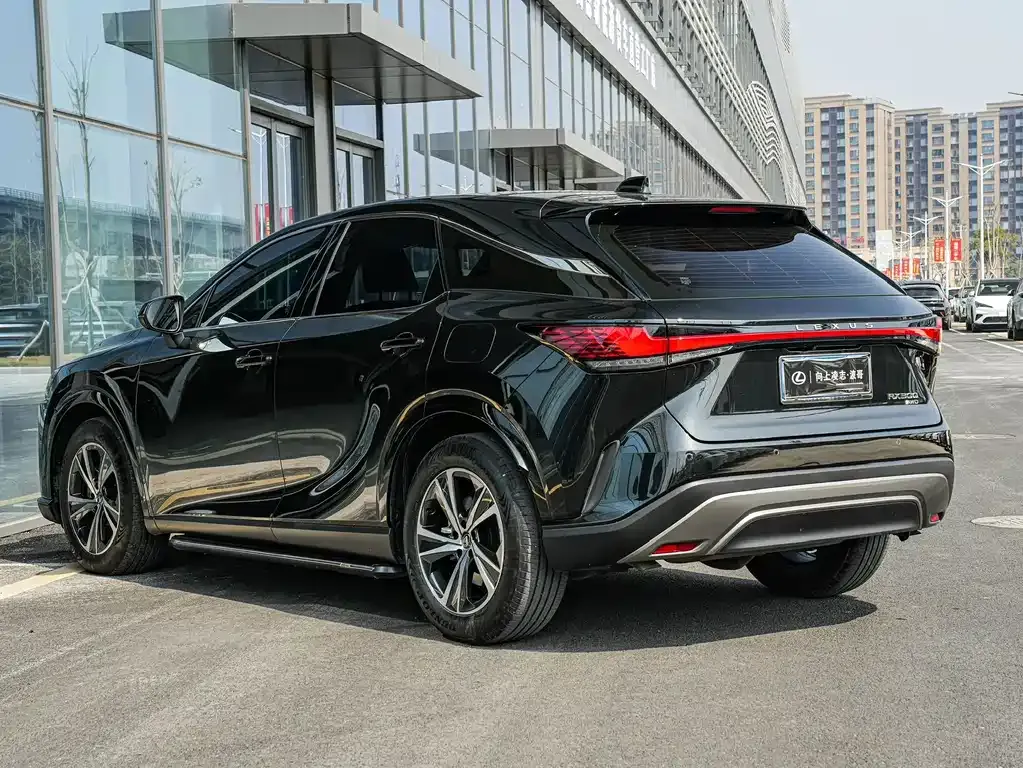 Lexus RX — фото 10