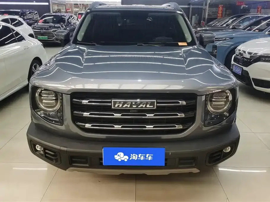 Haval Big Dog 2022 из CN, фото 4