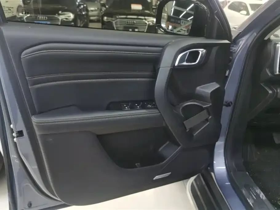 Haval Big Dog 2022 из CN, фото 6