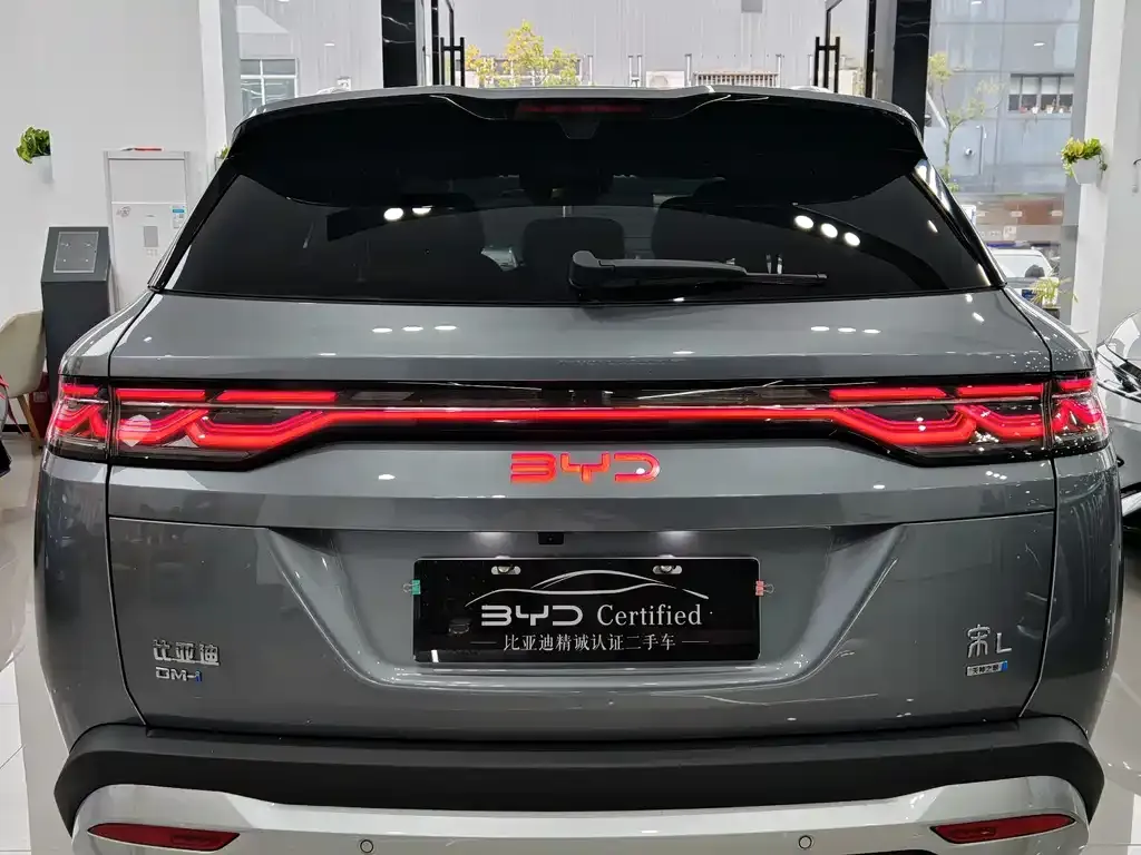 BYD L DM-i — фото 3