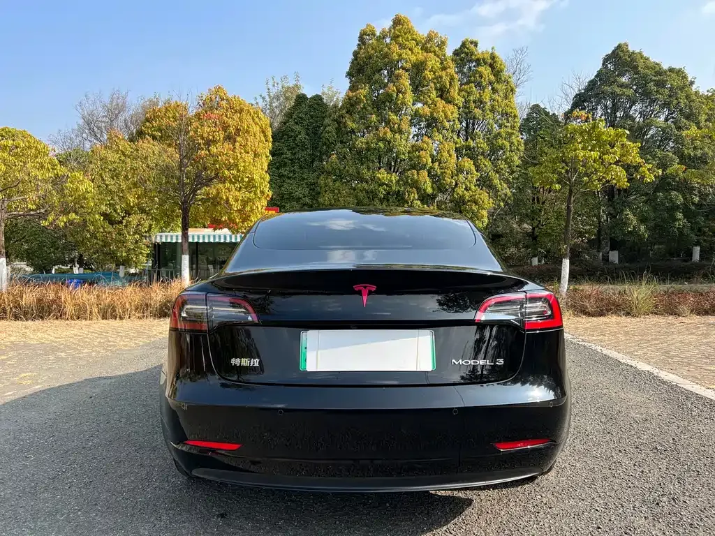 Tesla Model 3 — фото 2