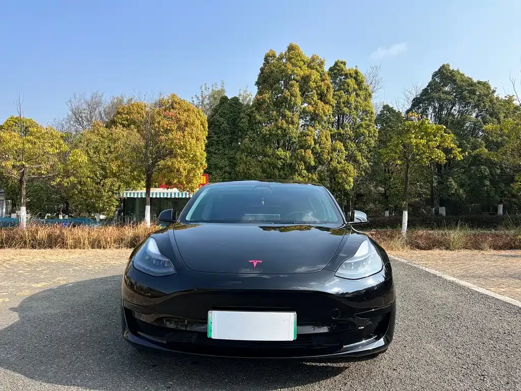 Tesla Model 3 — фото 6