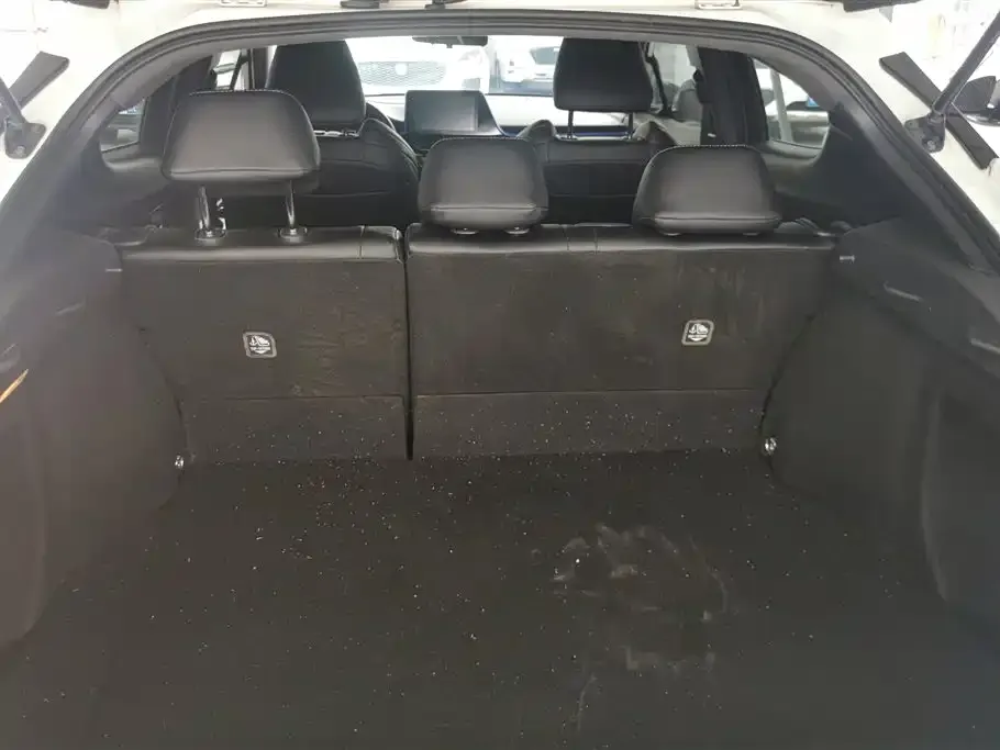 Toyota IZOA 2021 из CN, фото 2