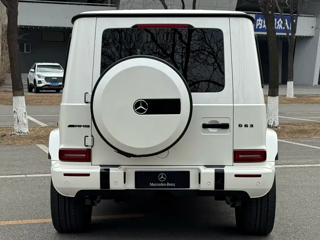 Mercedes-Benz G-Class AMG 2024 из CN, фото 4