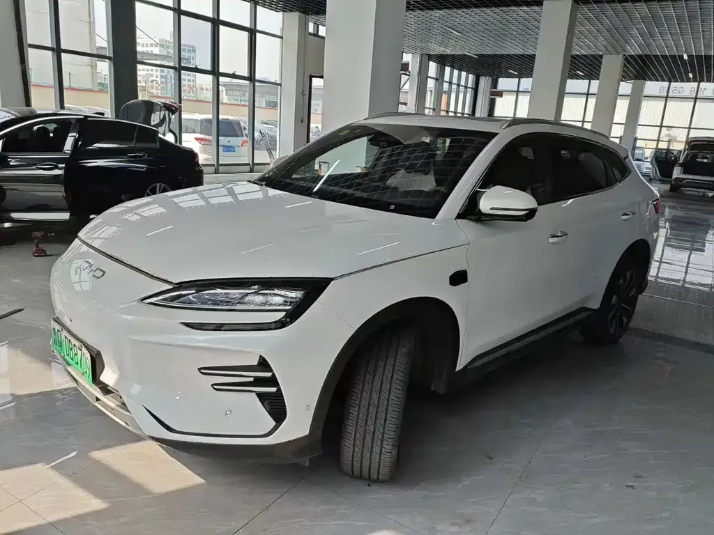BYD PLUS New Energy — фото 1