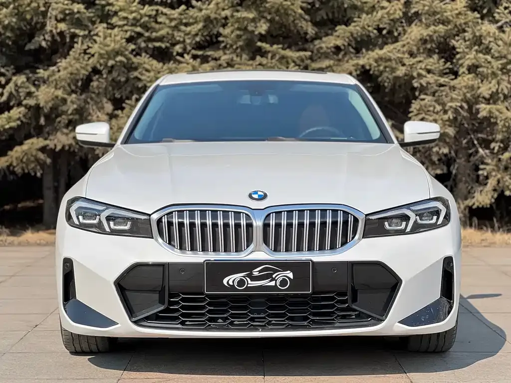 BMW 3 Series 2023 из CN, фото 3