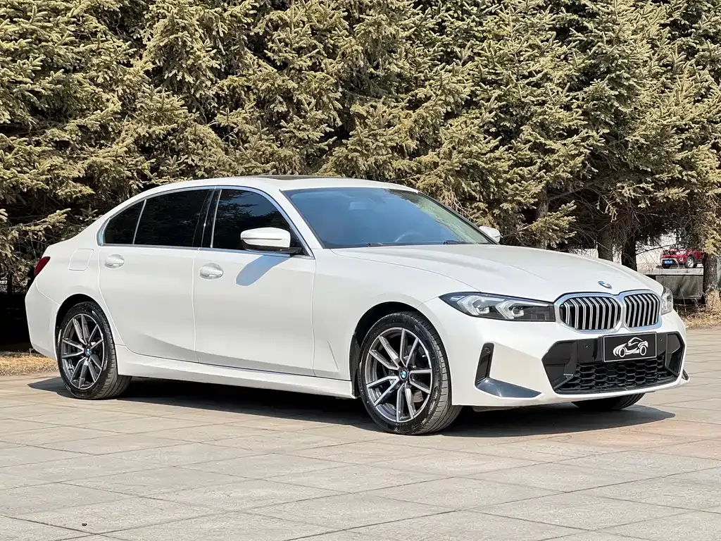 BMW 3 Series 2023 из CN, фото 10