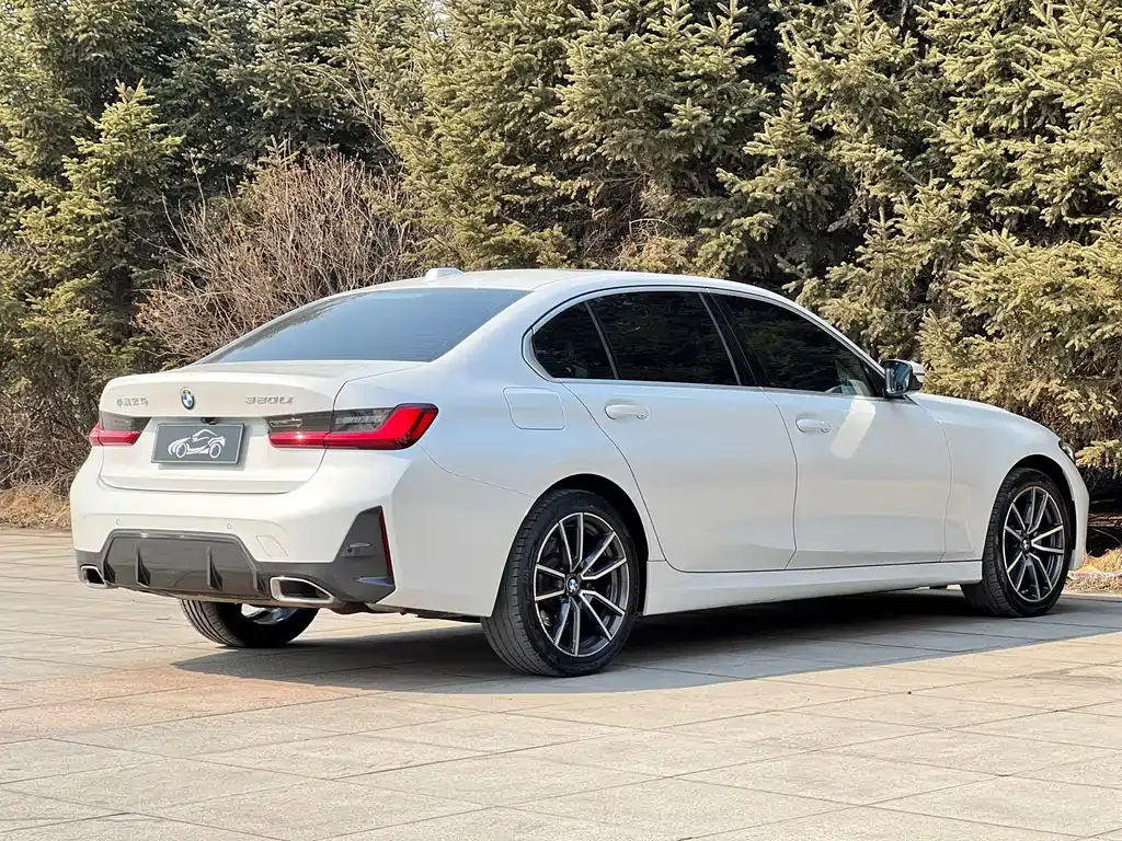 BMW 3 Series 2023 из CN, фото 8