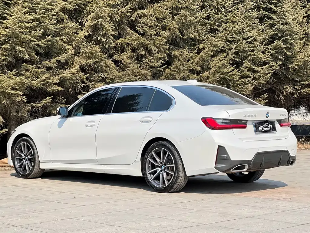 BMW 3 Series 2023 из CN, фото 7