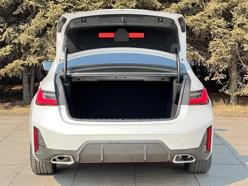 BMW 3 Series 2023 из CN, фото 6