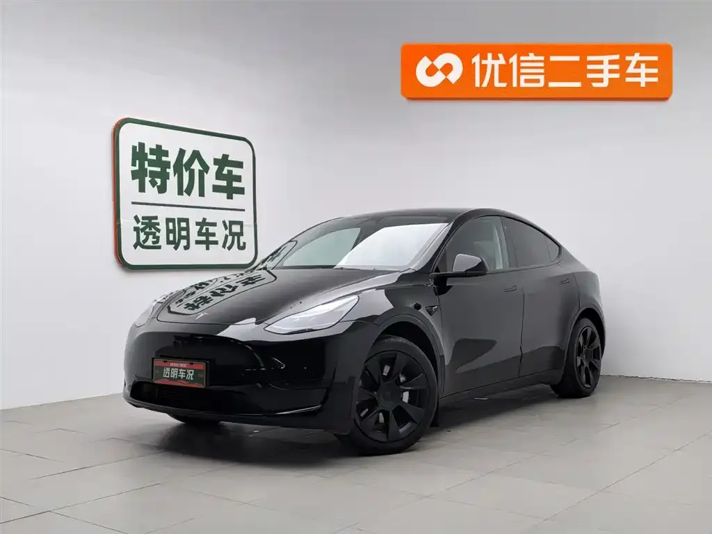 Tesla Model Y — фото 1