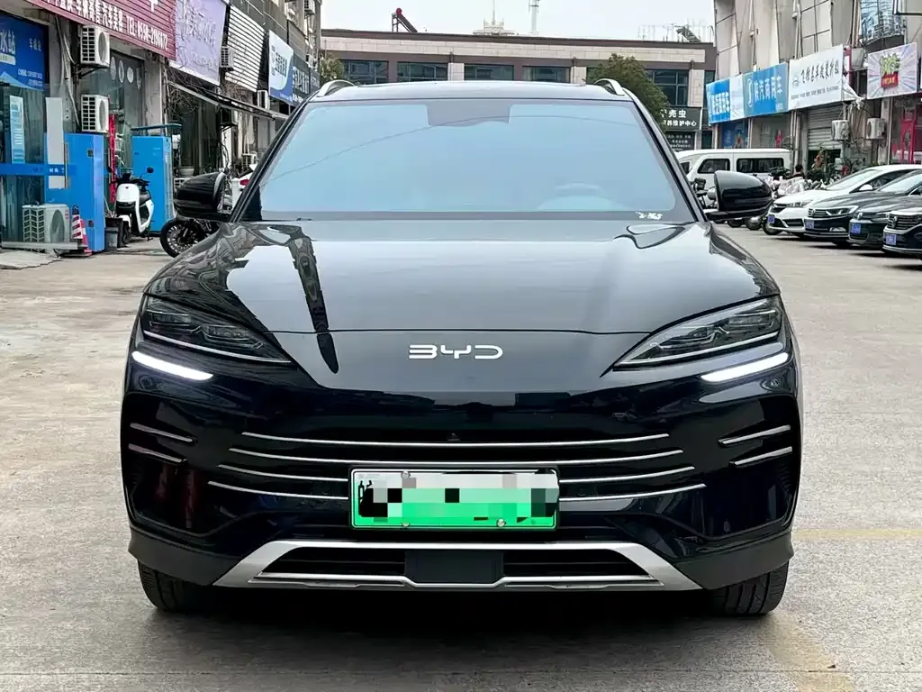 BYD PLUS New Energy 2025 из CN, фото 7