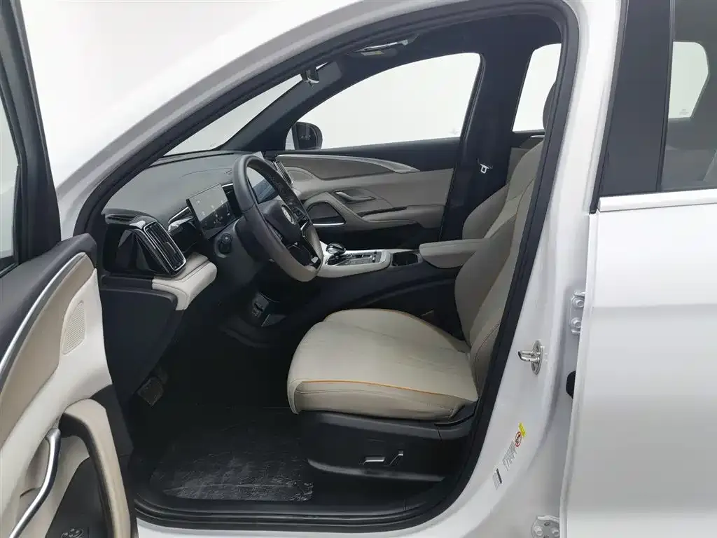 BYD Pro New Energy 2024 из CN, фото 9