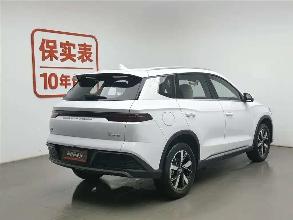 BYD Pro New Energy 2024 из CN, фото 3