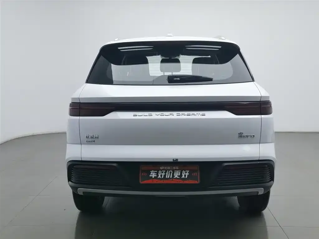 BYD Pro New Energy 2024 из CN, фото 4