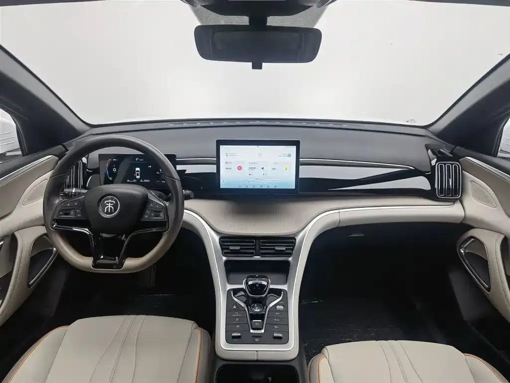 BYD Pro New Energy 2024 из CN, фото 2