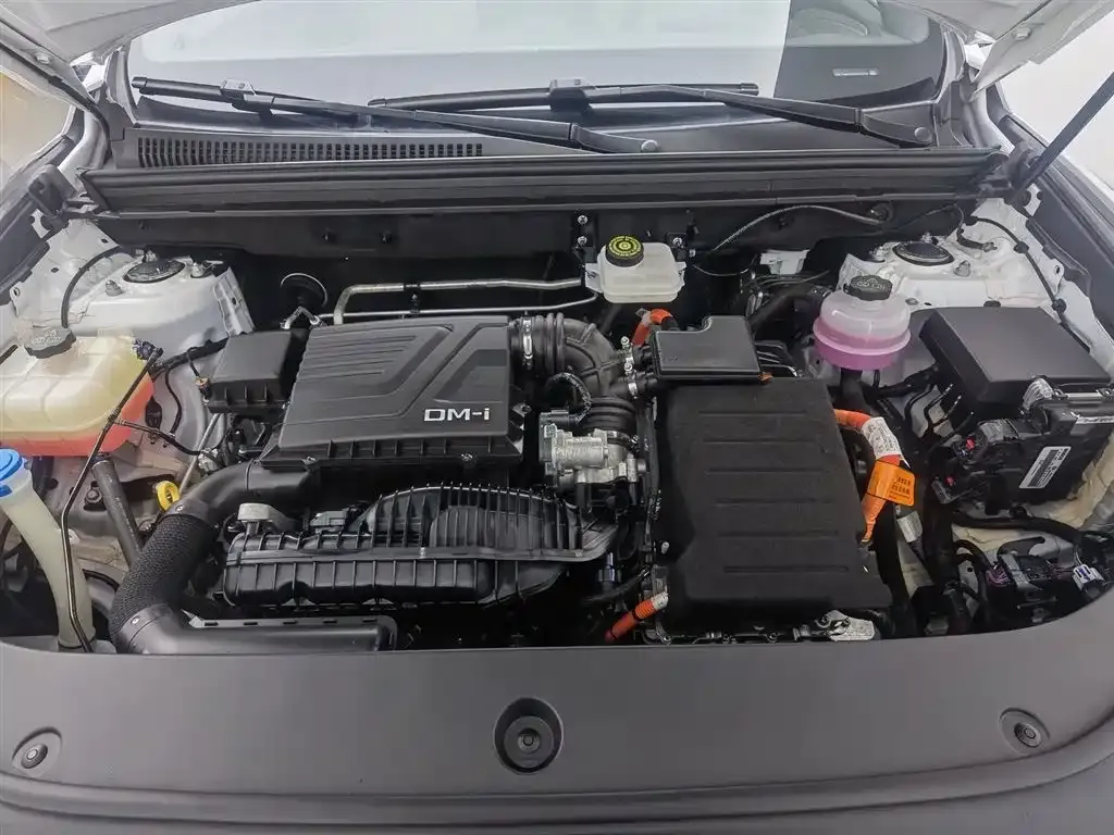 BYD Pro New Energy 2024 из CN, фото 10