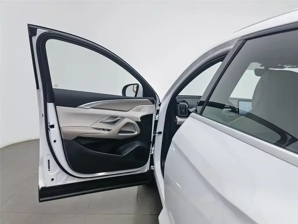 BYD Pro New Energy 2024 из CN, фото 7