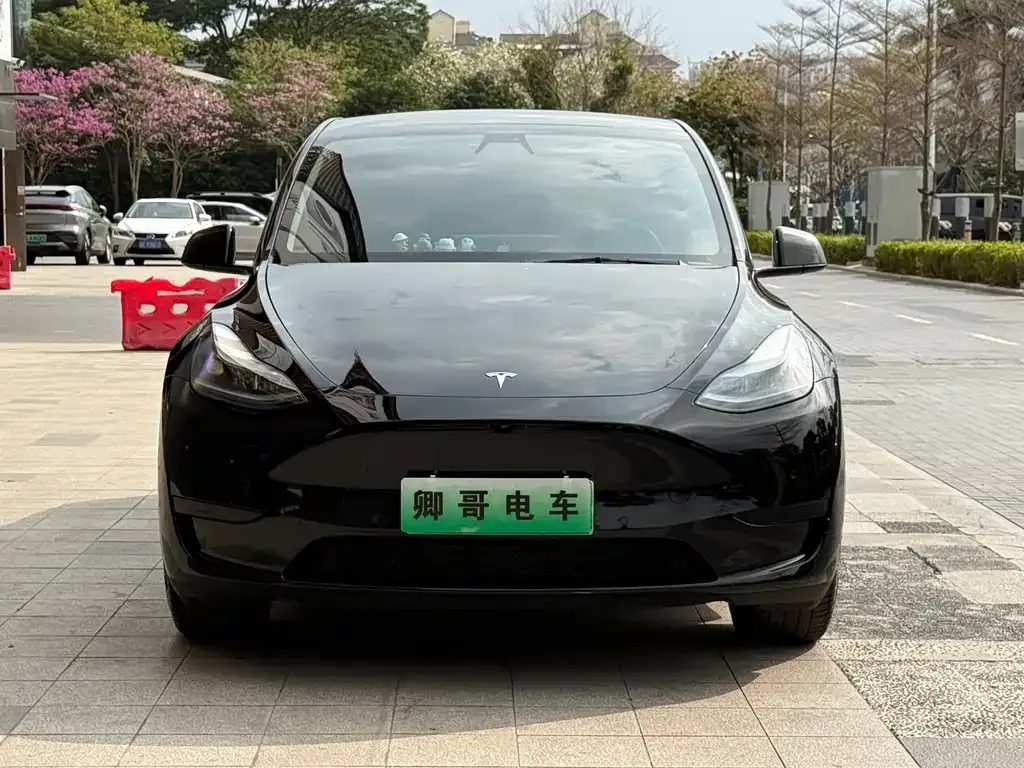Tesla Model Y — фото 8
