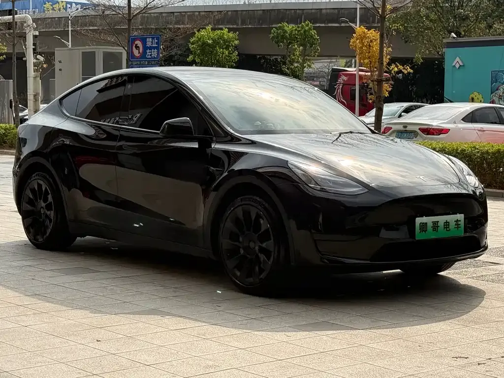 Tesla Model Y — фото 4