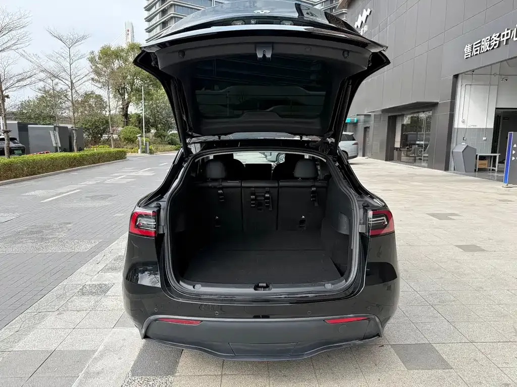 Tesla Model Y — фото 6