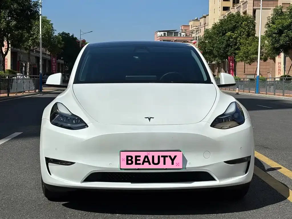 Tesla Model Y — фото 7
