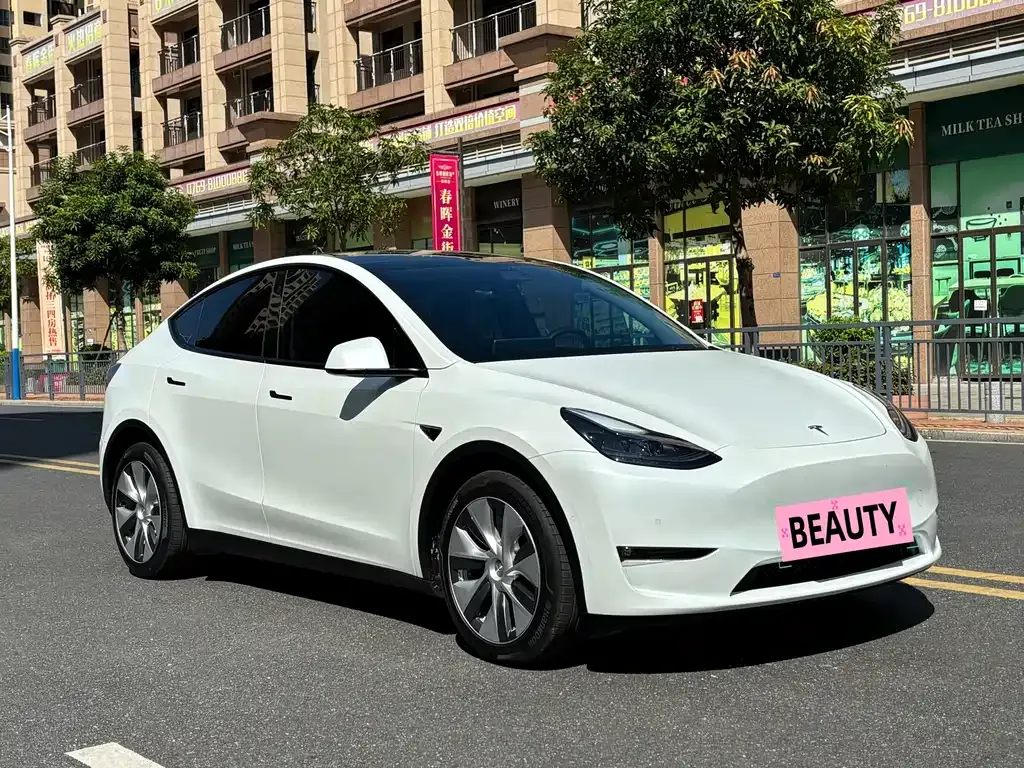 Tesla Model Y — фото 9
