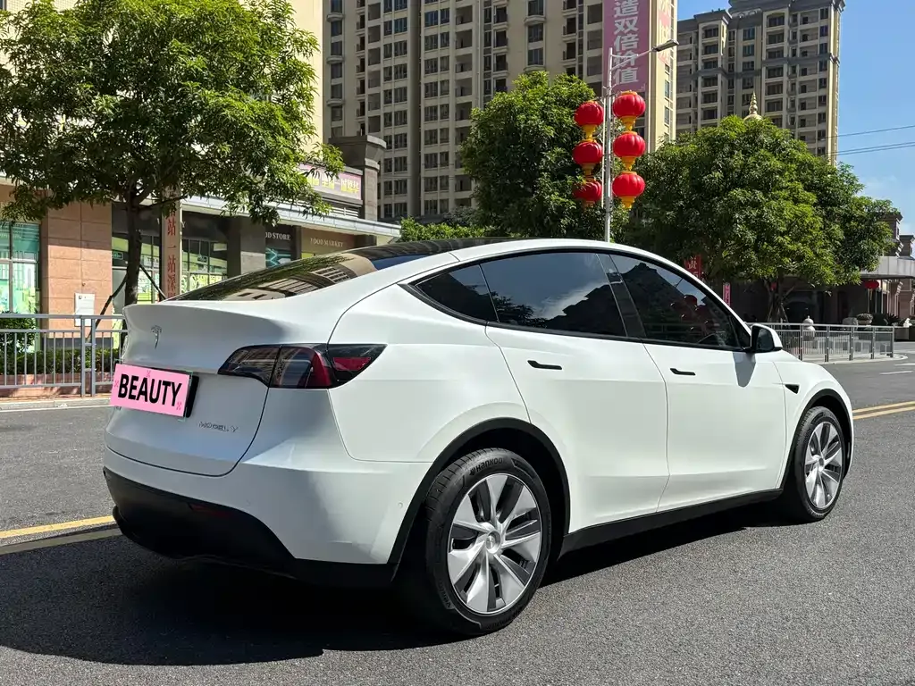 Tesla Model Y — фото 10