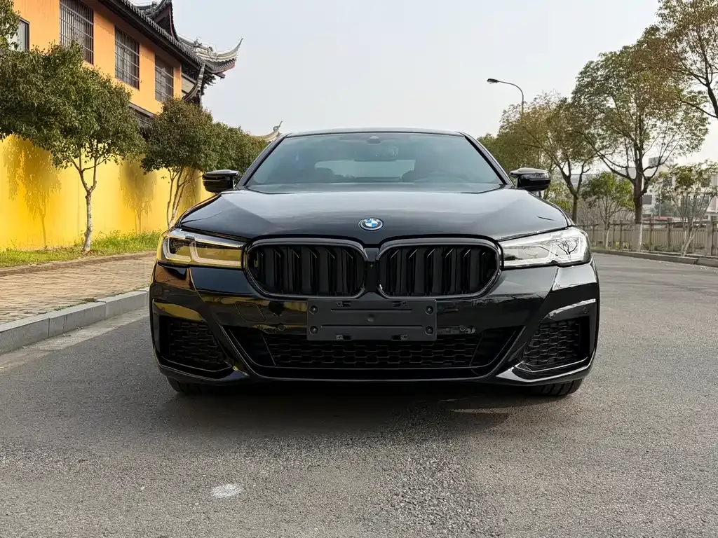BMW 5 Series New Energy — фото 9