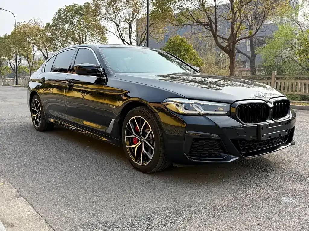 BMW 5 Series New Energy — фото 7