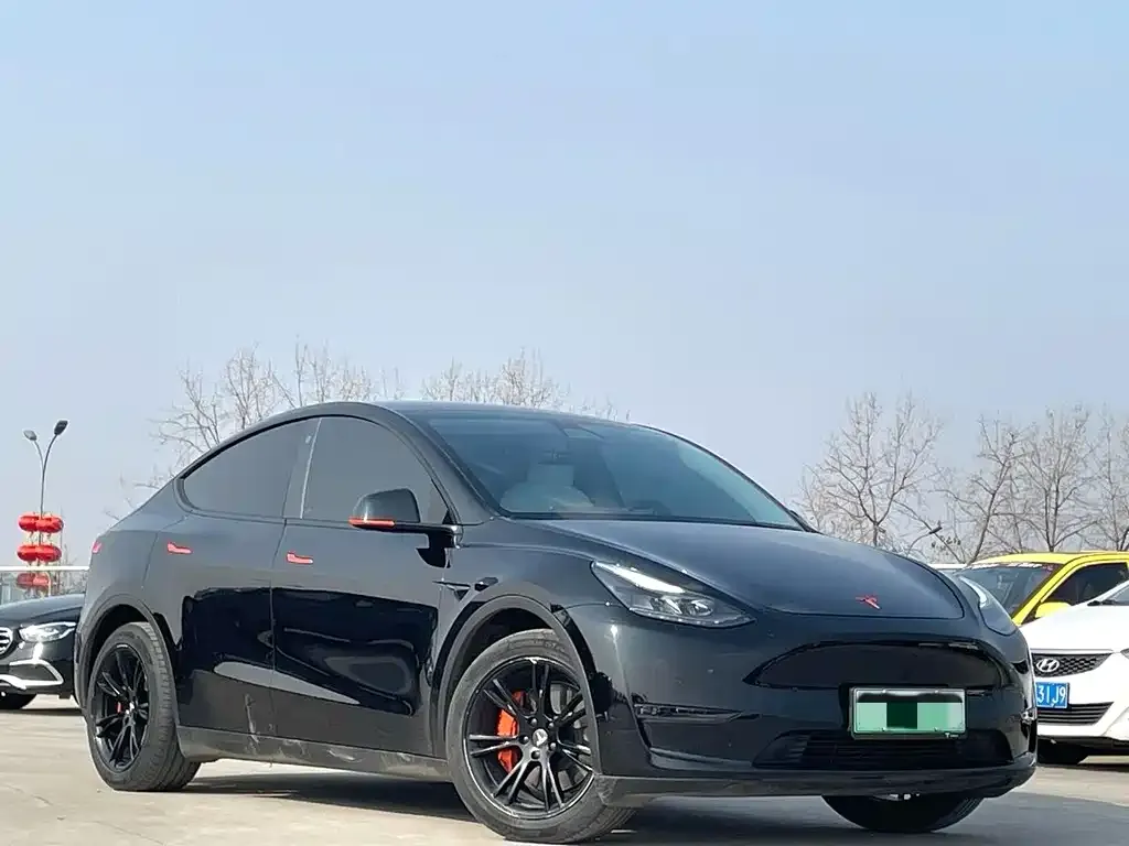Tesla Model Y — фото 9