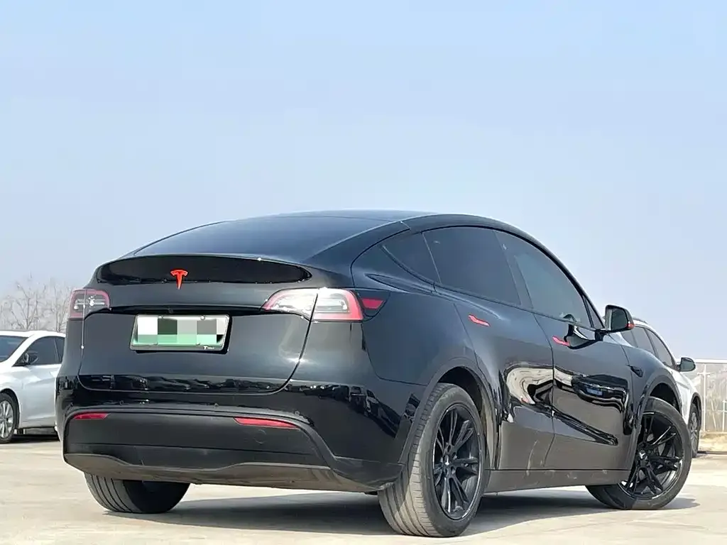 Tesla Model Y — фото 2