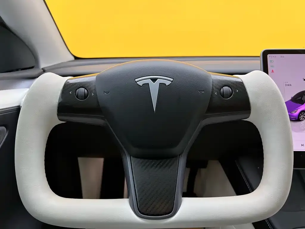 Tesla Model Y 2023 из CN, фото 2