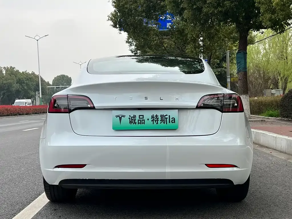 Tesla Model 3 — фото 2