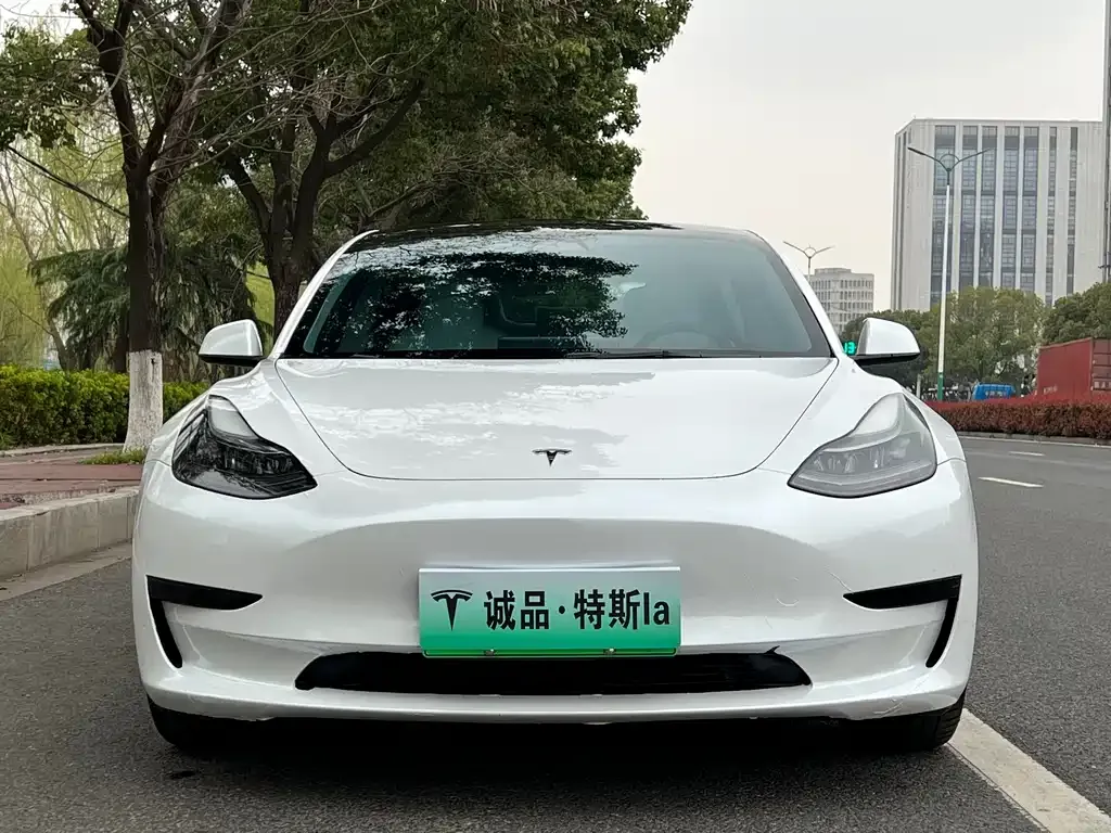 Tesla Model 3 — фото 3