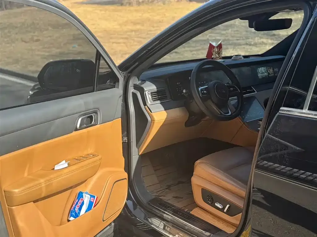 Li Auto ONE 2023 из CN, фото 5