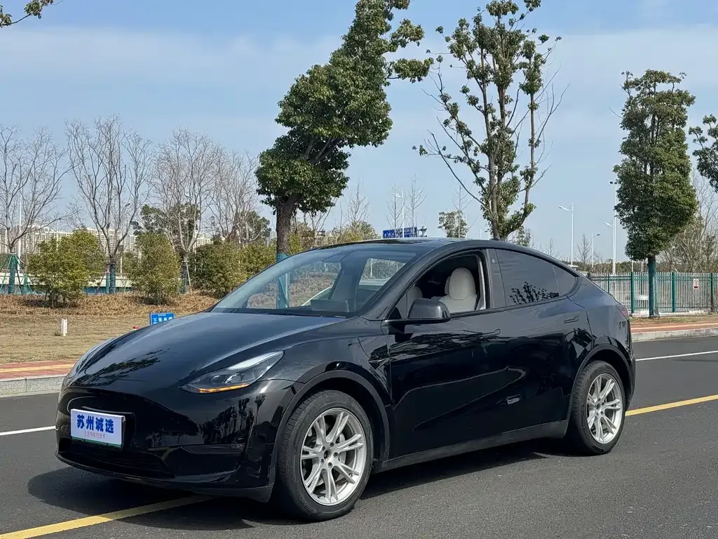 Tesla Model Y — фото 1