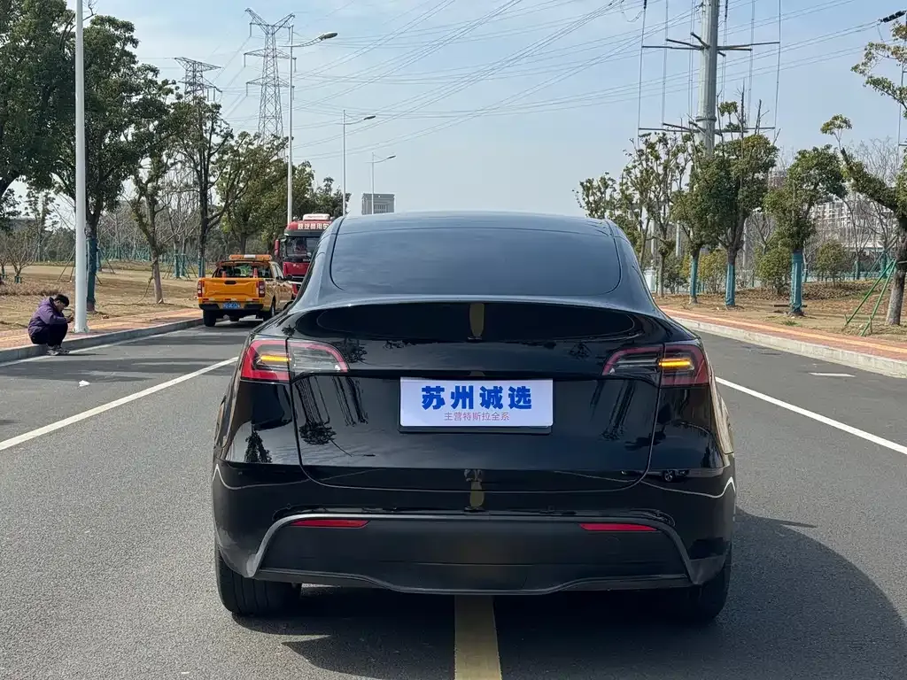 Tesla Model Y — фото 10
