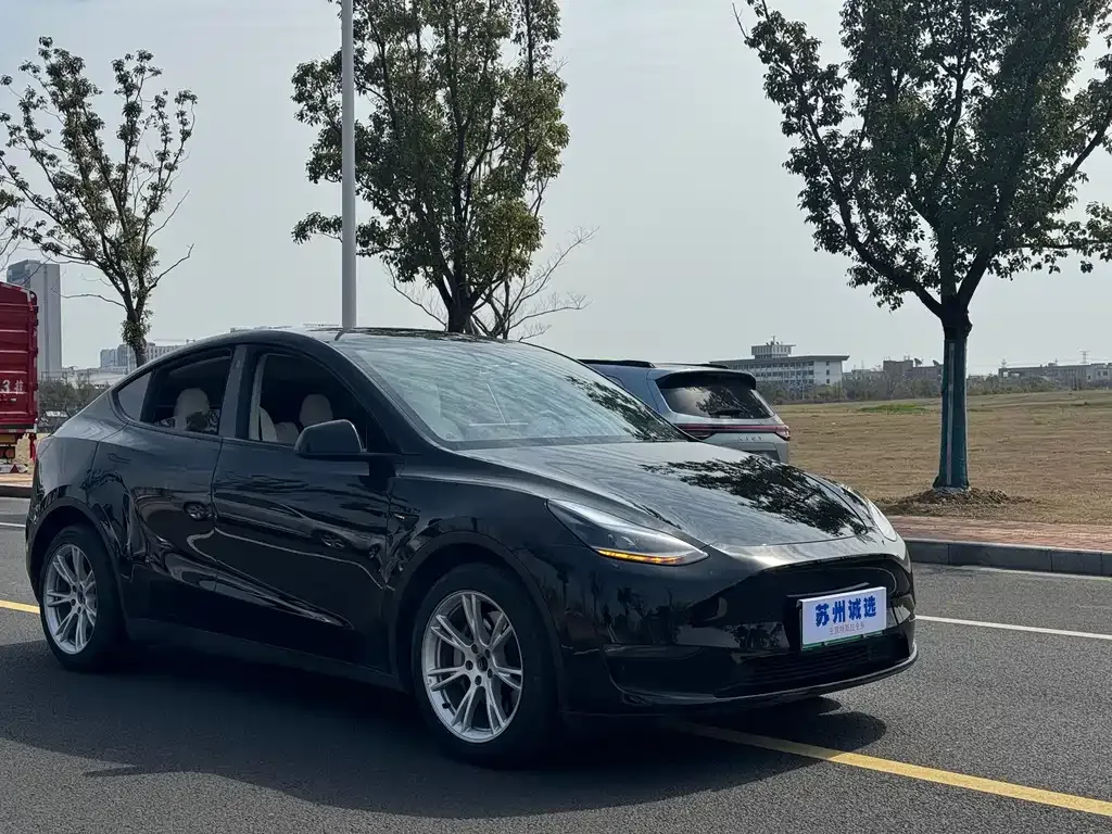 Tesla Model Y — фото 2