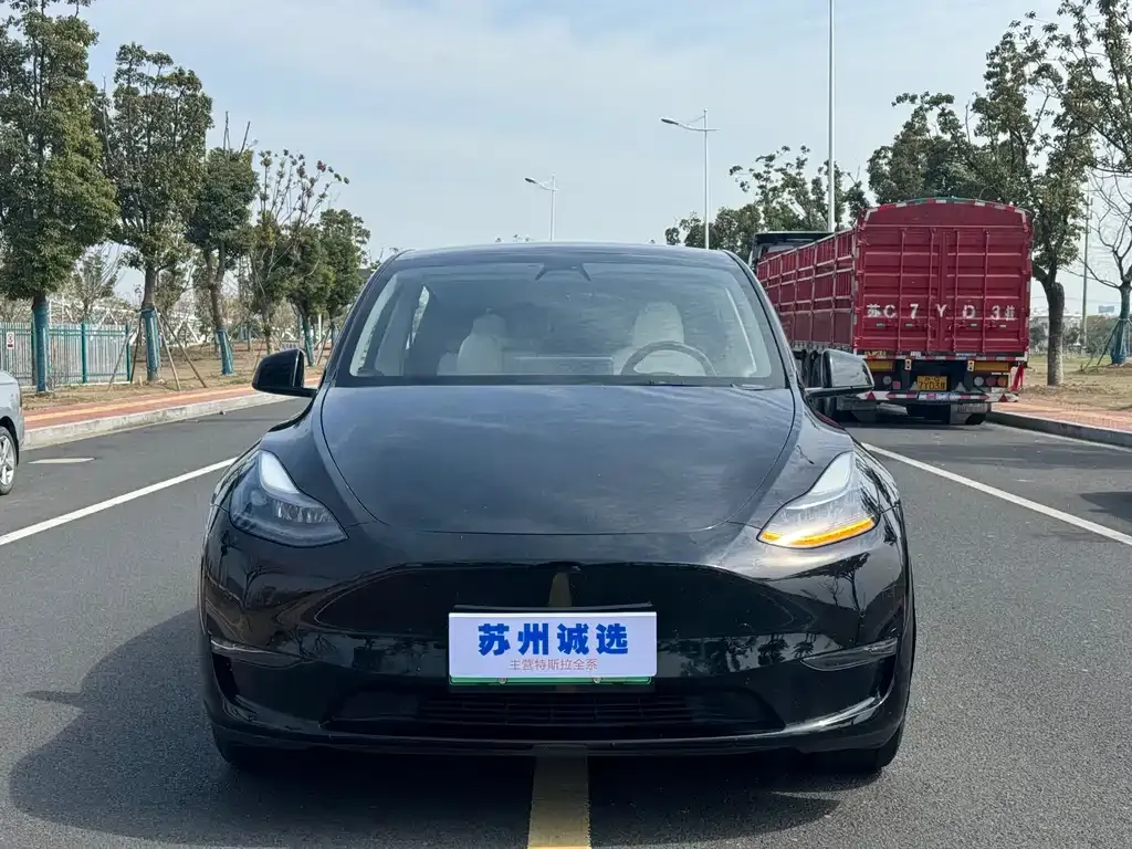 Tesla Model Y — фото 8